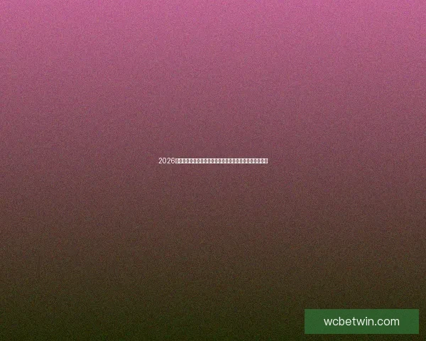 2026世界杯竞猜网站推荐指南安全稳定平台选择与投注技巧解析